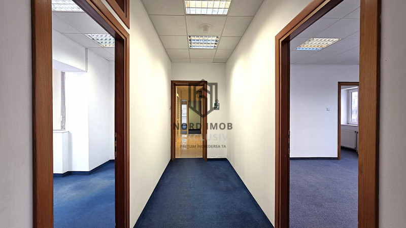 Inchiriere 242 mp | Imobil birouri Domenii | Comision 0%-Reprezentare Proprietar
