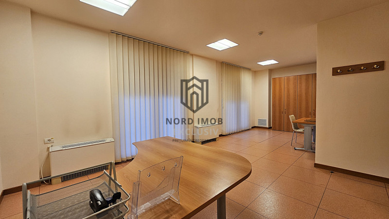 OPORTUNITATE! Spatiu de birouri 6 camere | 266 mp | 5 Bai | 2 terase | Herastrau
